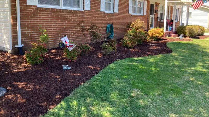 mulch installation