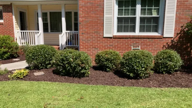 Landscaping Tips To Help Sell Your Virginia Beach, Virginia Home