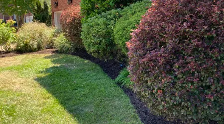 Landscape Maintenance