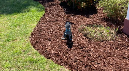 Mulch Installation Services