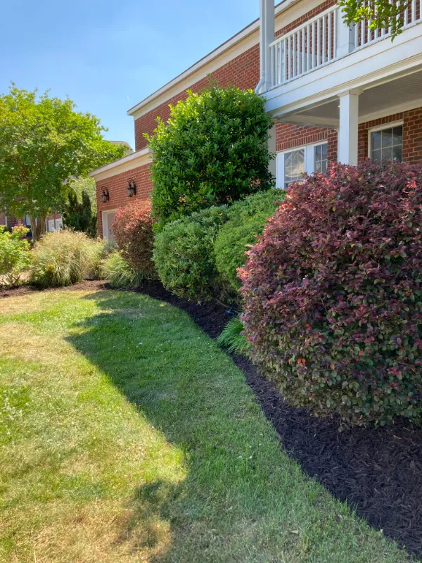 How Much Do small Landscaping Projects Cost?